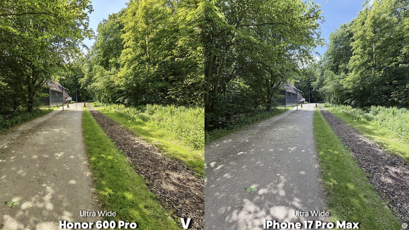 Honor 600 Pro and iPhone 17 Pro Max ultra wide daylight comparison of a forest path
