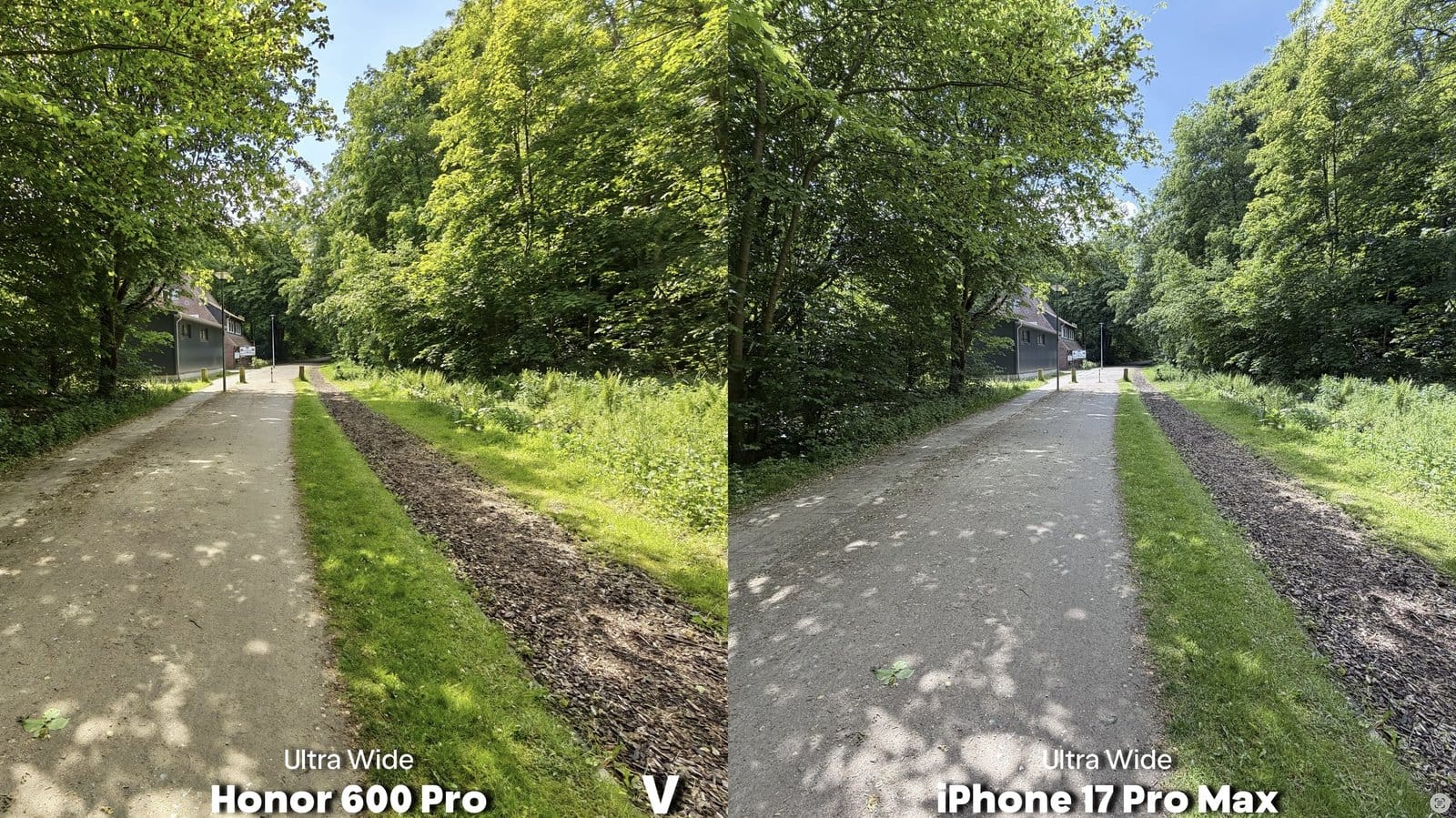 Honor 600 Pro and iPhone 17 Pro Max ultra wide daylight comparison of a forest path